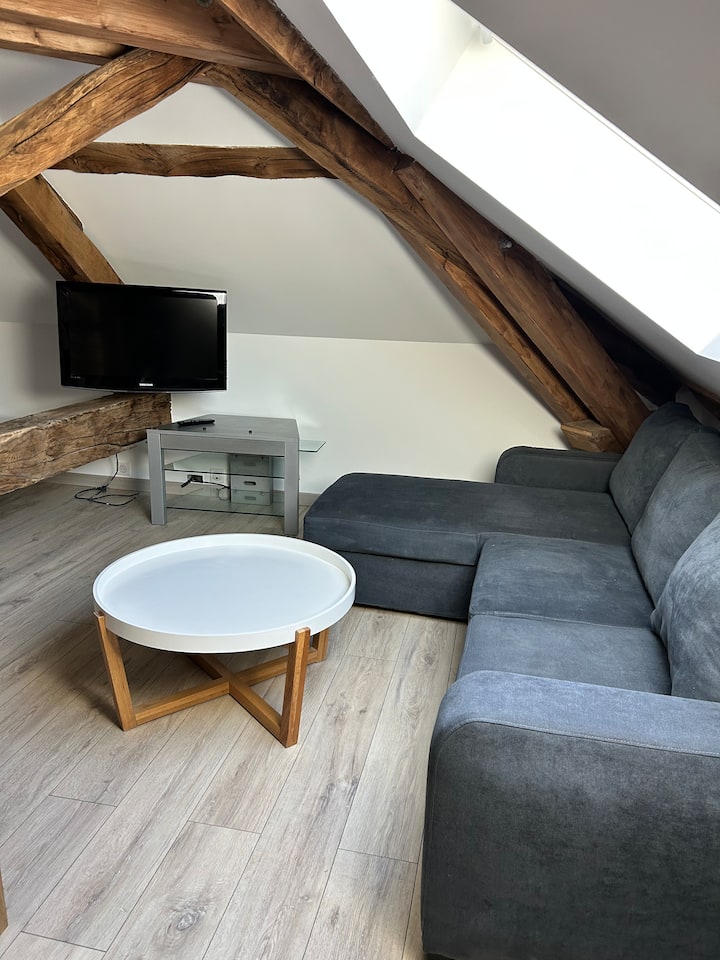 Appartement Dans Une Ancienne Ferme - ibis budget Geneve Saint Genis Pouilly