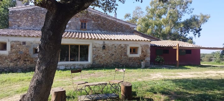 Lacus-terrae - Llagostera