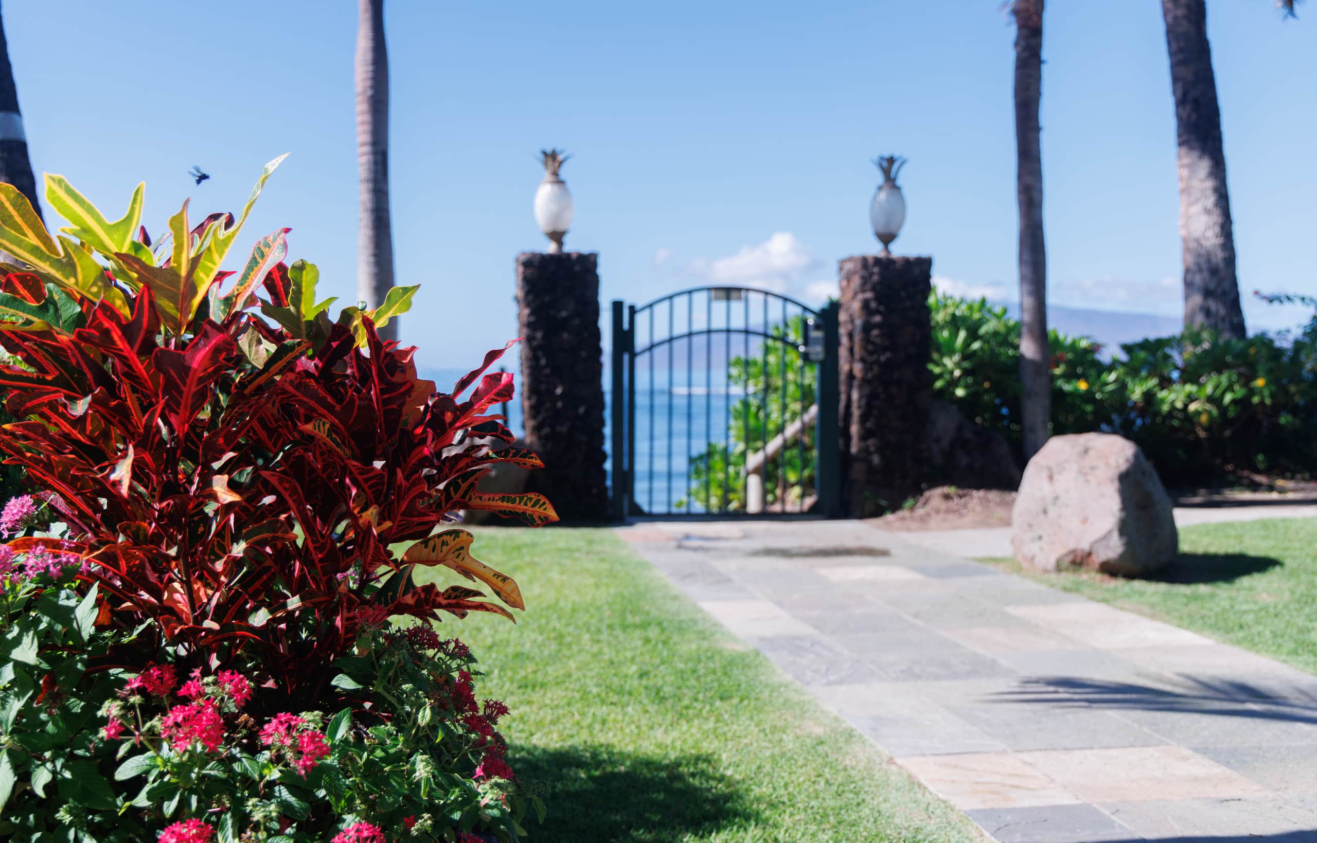 Holo Hou Hale - Lahaina Shores Retreat on Front St - Image 13