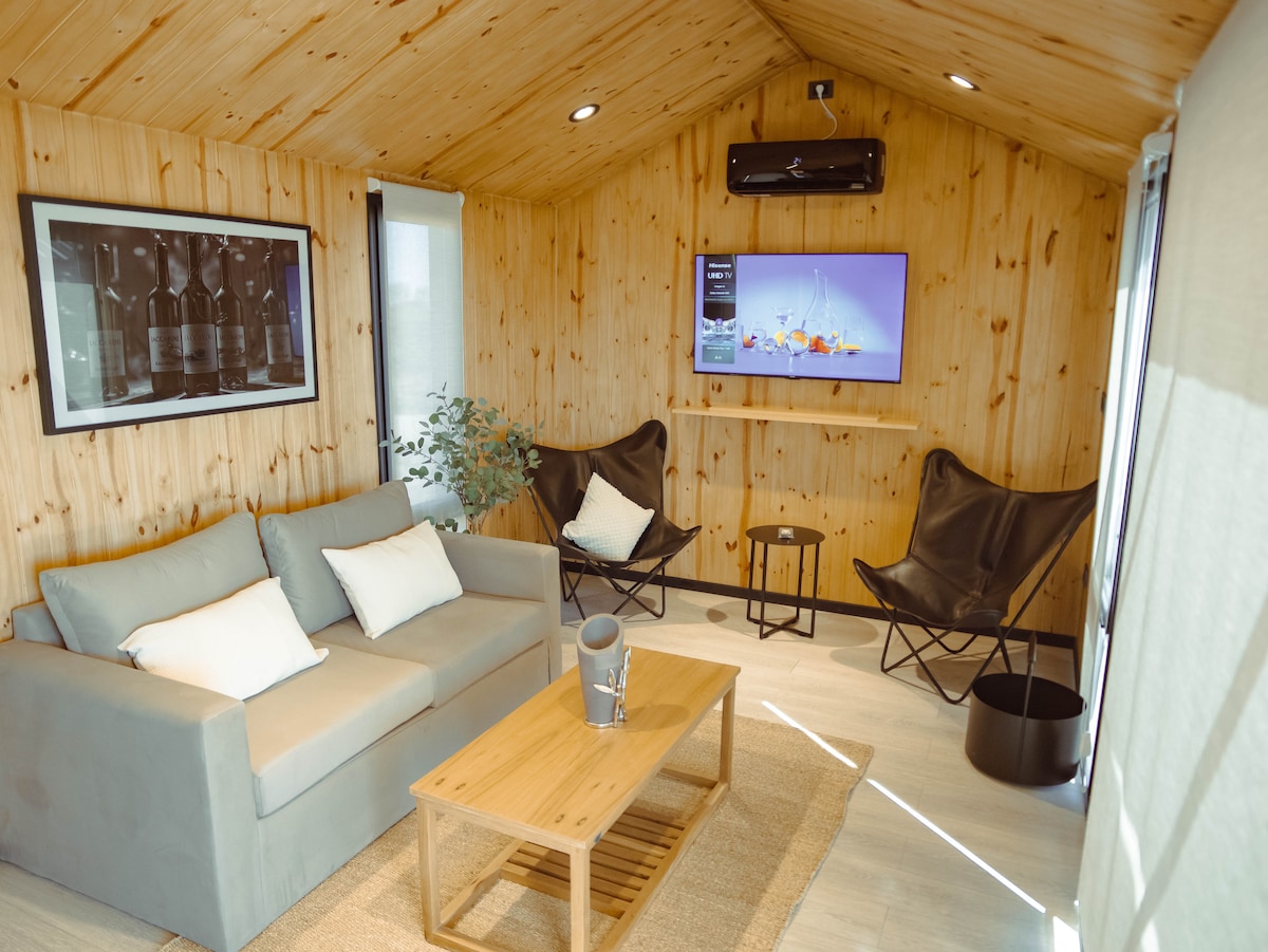 Propriété Airbnb réussie: Lodge in a winery with a mini pool and grill à Capitán Montoya