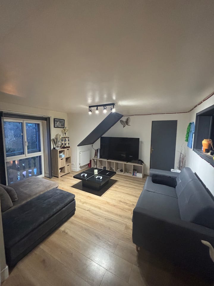 Appartement Cosy 1 Chambre - Centre Ville - Bort-les-Orgues