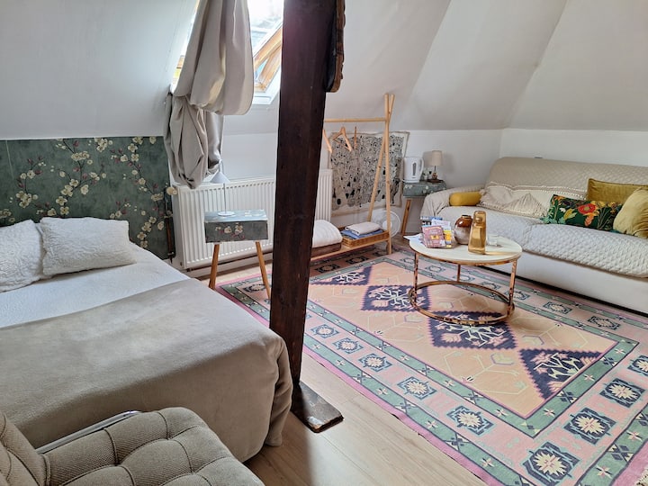 Chambre Privée Dans Une Maison Lilloise - Mons-en-Barœul
