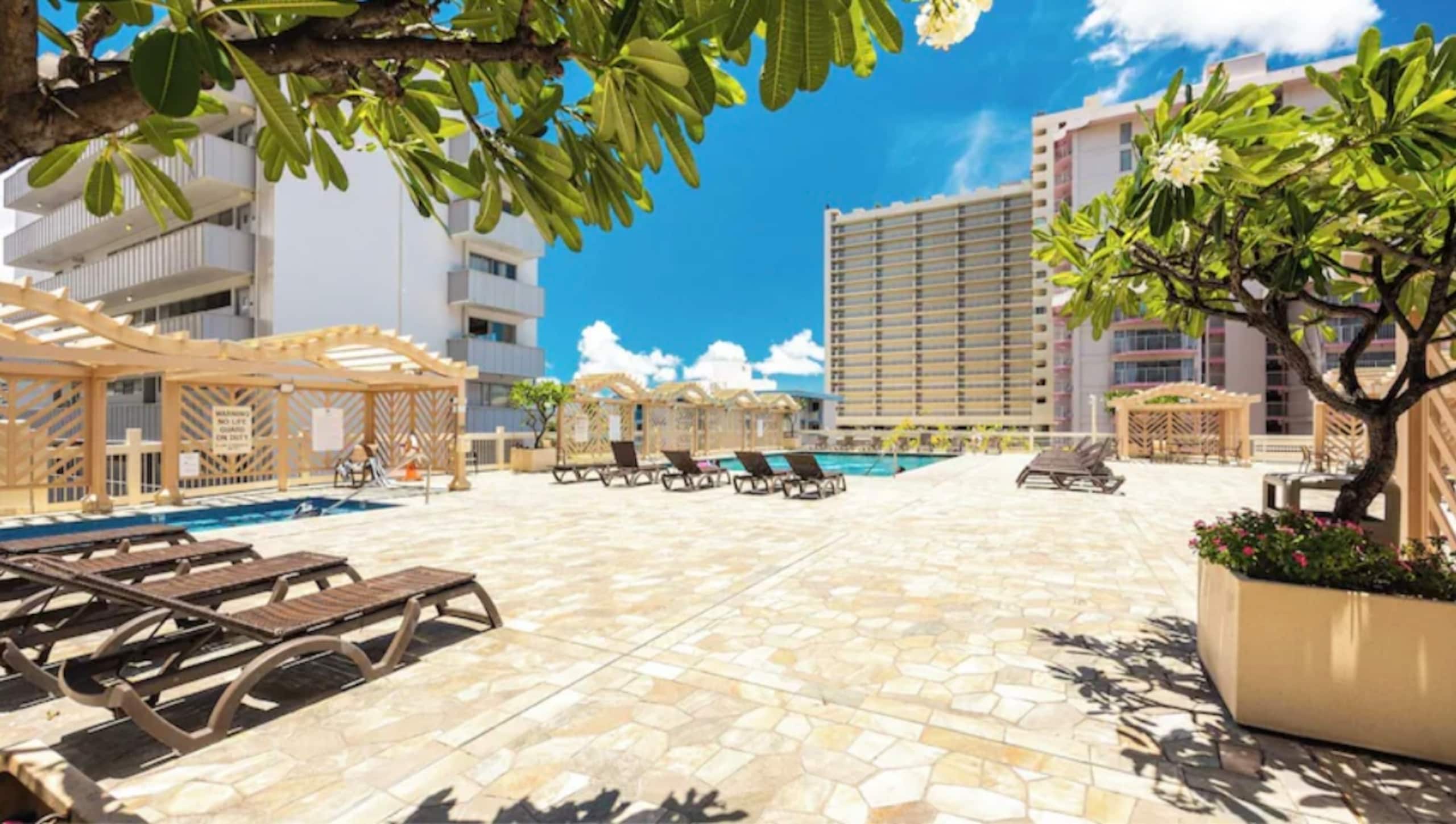 Modern Waikiki Studio - Image 23