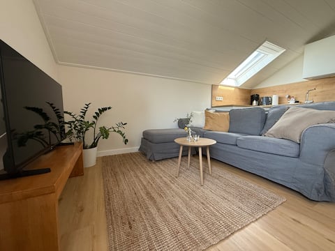 Successful Airbnb property: Luisa vacation home in Bad Kreuznach
