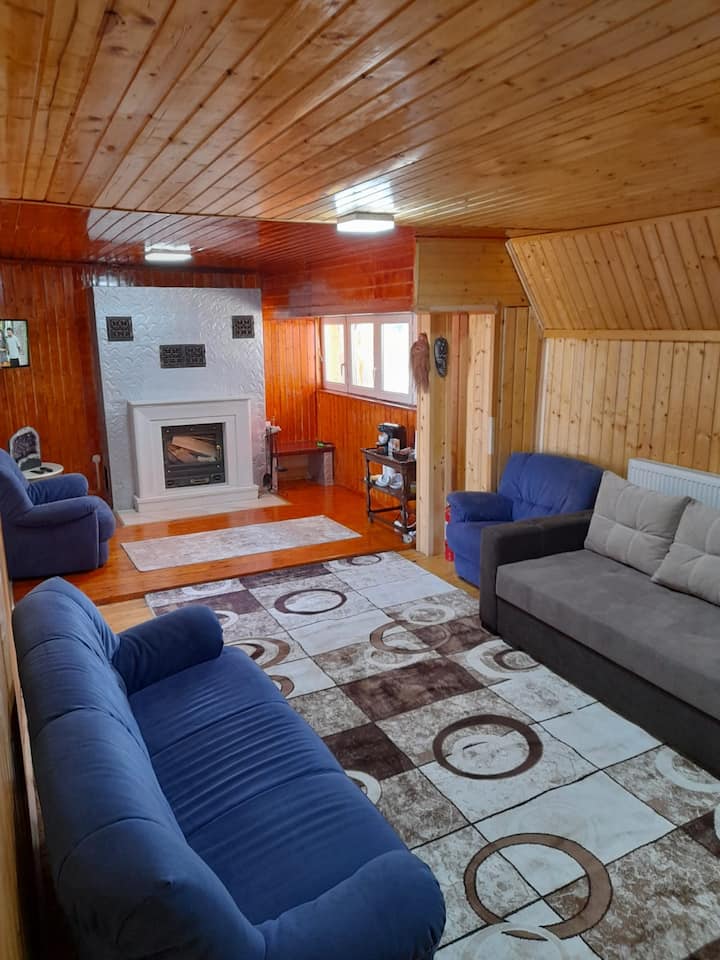 Birta Mountain Lodge - Reșița