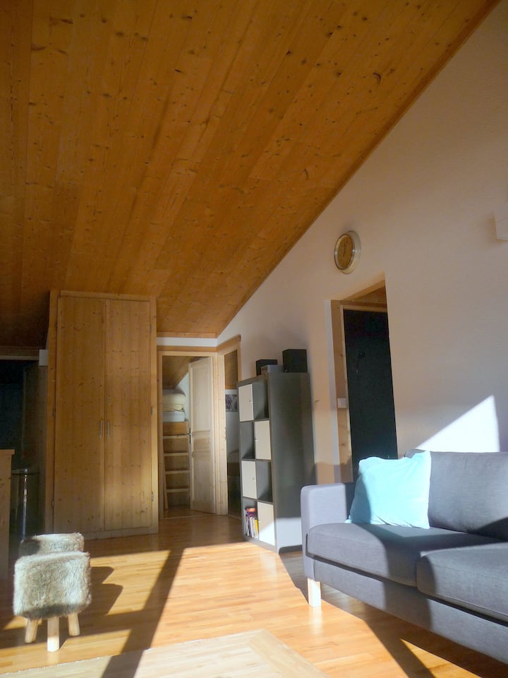 Superbe Appartement Au Pied Des Pistes - Montgenèvre