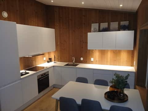 apartment in sogndal with great views