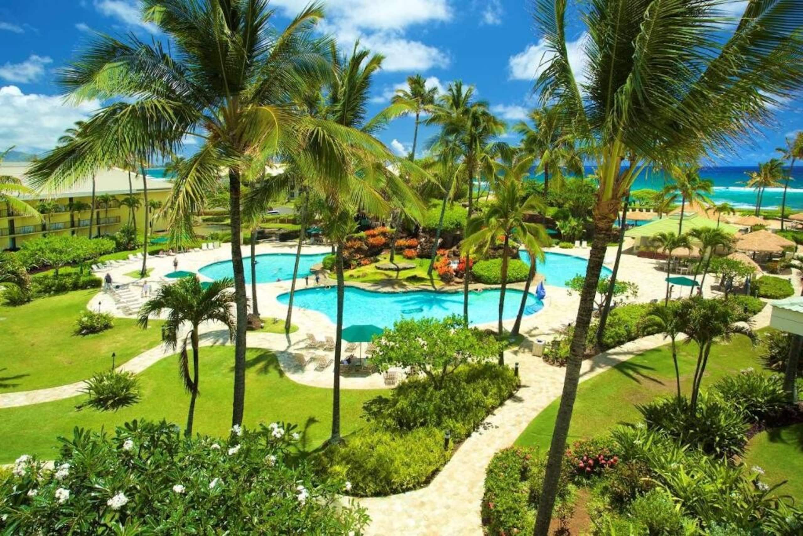 Hotel in Lihue · ★4.67 · 1 bedroom · 1 private bath - Image 6