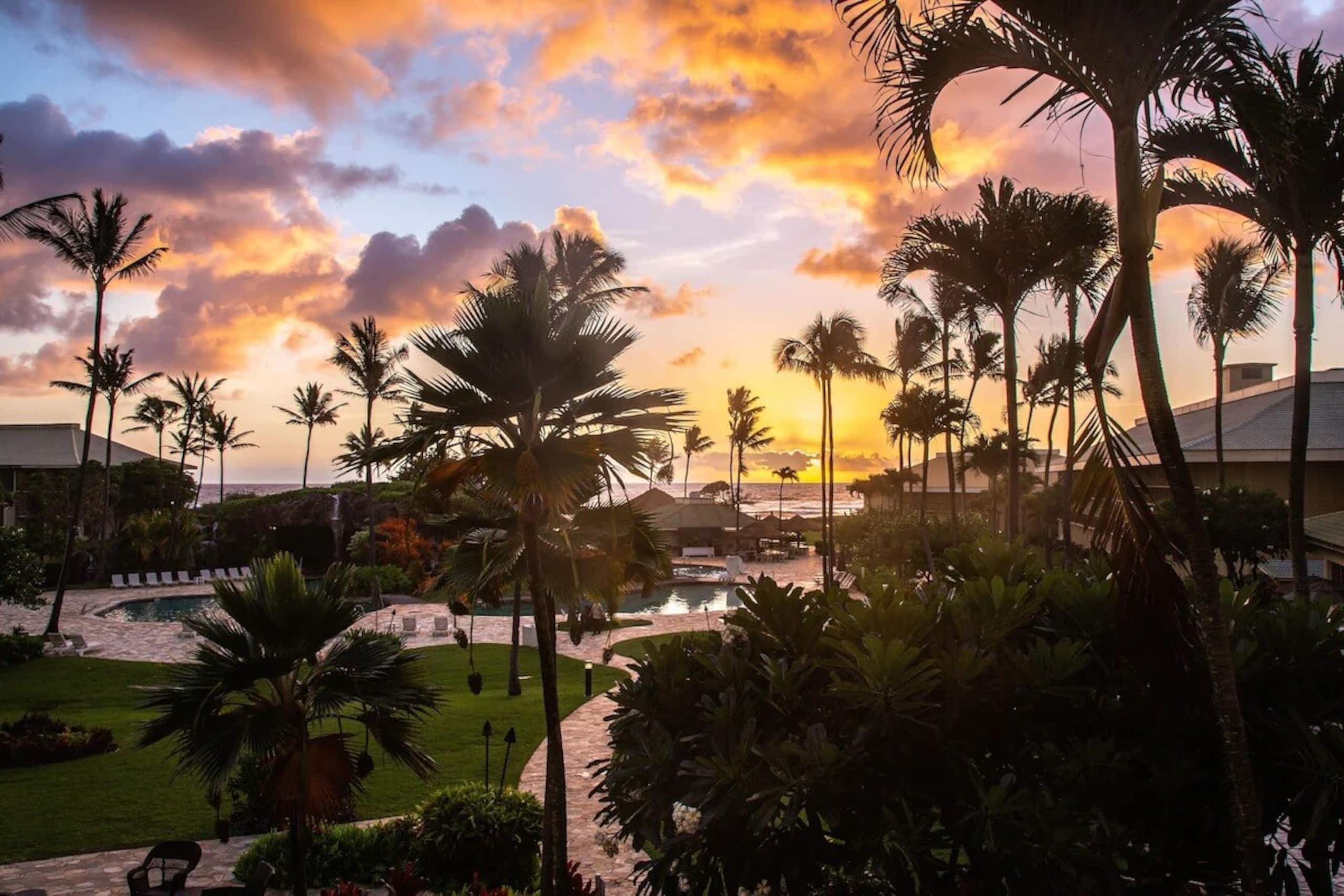 Hotel in Lihue · ★4.67 · 1 bedroom · 1 private bath - Image 29