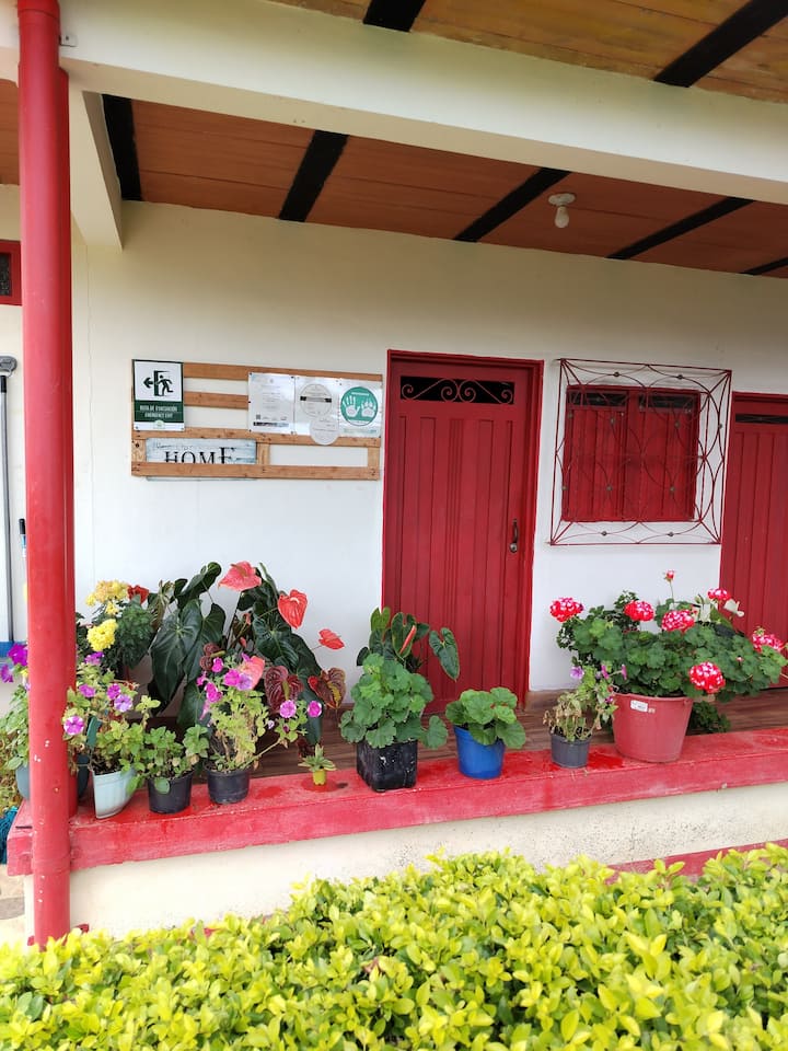 Habitación