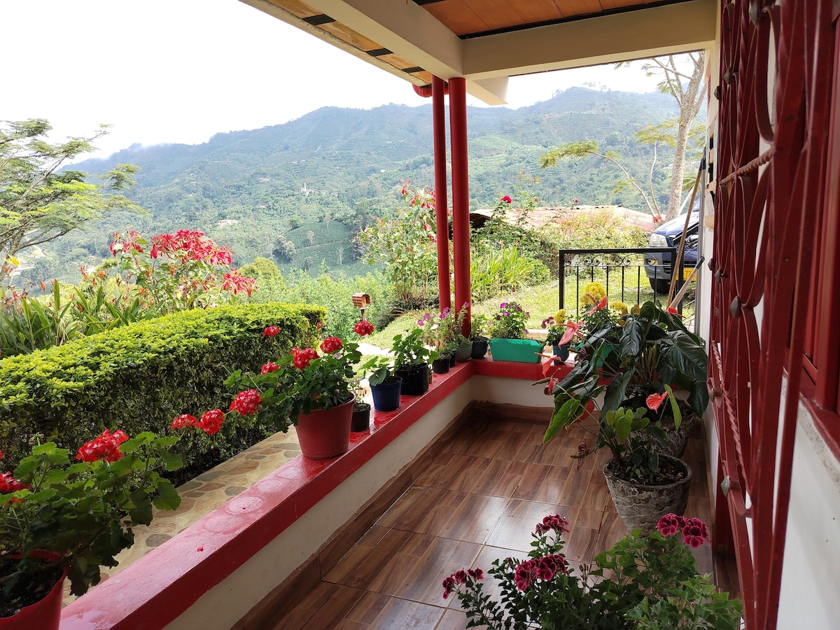 A covered porch offers a sweeping view of the surrounding mountains and lush greenery. Potted flowers in vibrant colors line the space, adding natural beauty. The flooring features wooden tiles, and a seating area can be seen, inviting relaxation amid the scenic landscape.