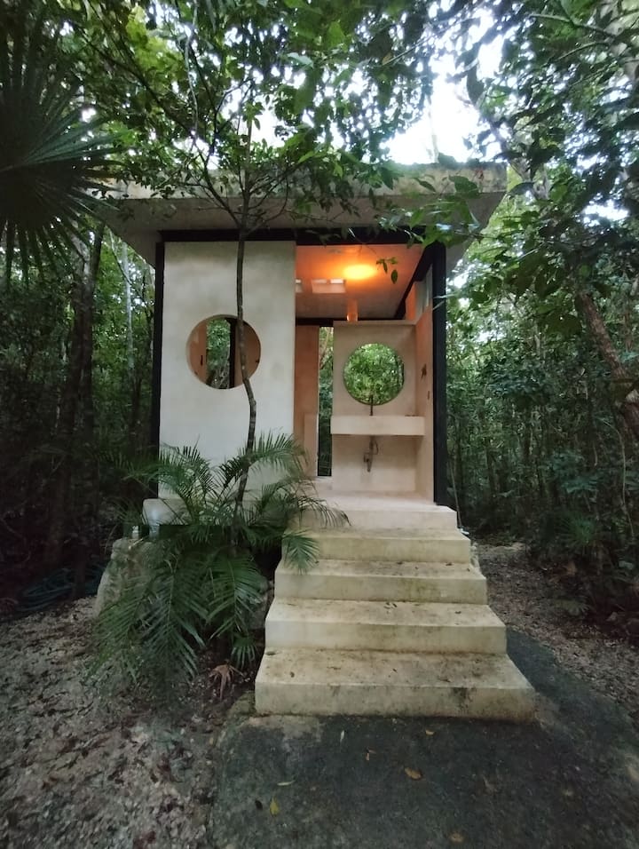 Acampar En La Selva, Senderos Entre La Naturaleza. - Cancún