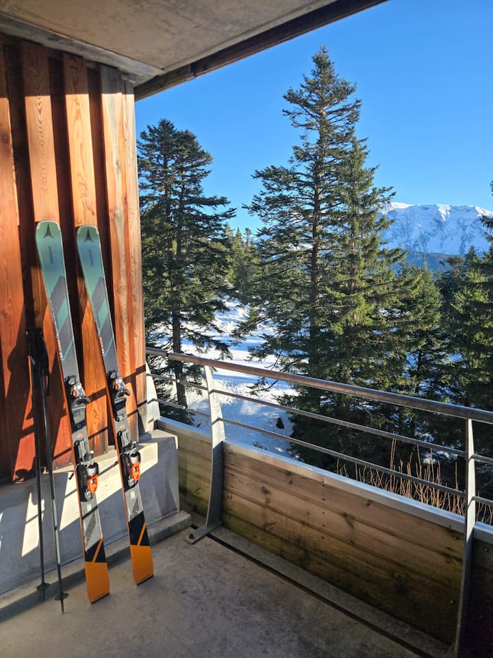 En C25~les Marmottons, Skis Aux Pieds, Plein Sud - Chamrousse