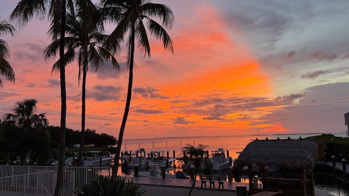 Beautiful Ground Floor 1b1b W/open Water View #109 - Islamorada, FL