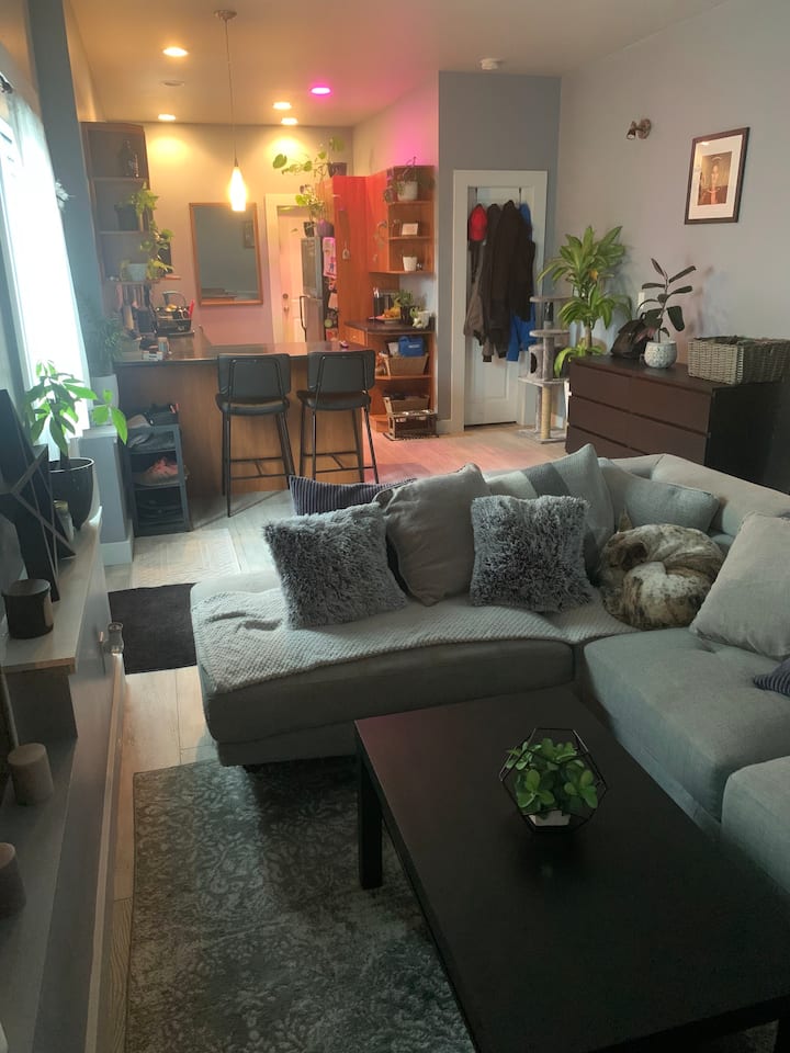 Convenient &Central
	Suite Close To Town/hospital - Victoria, Canadà