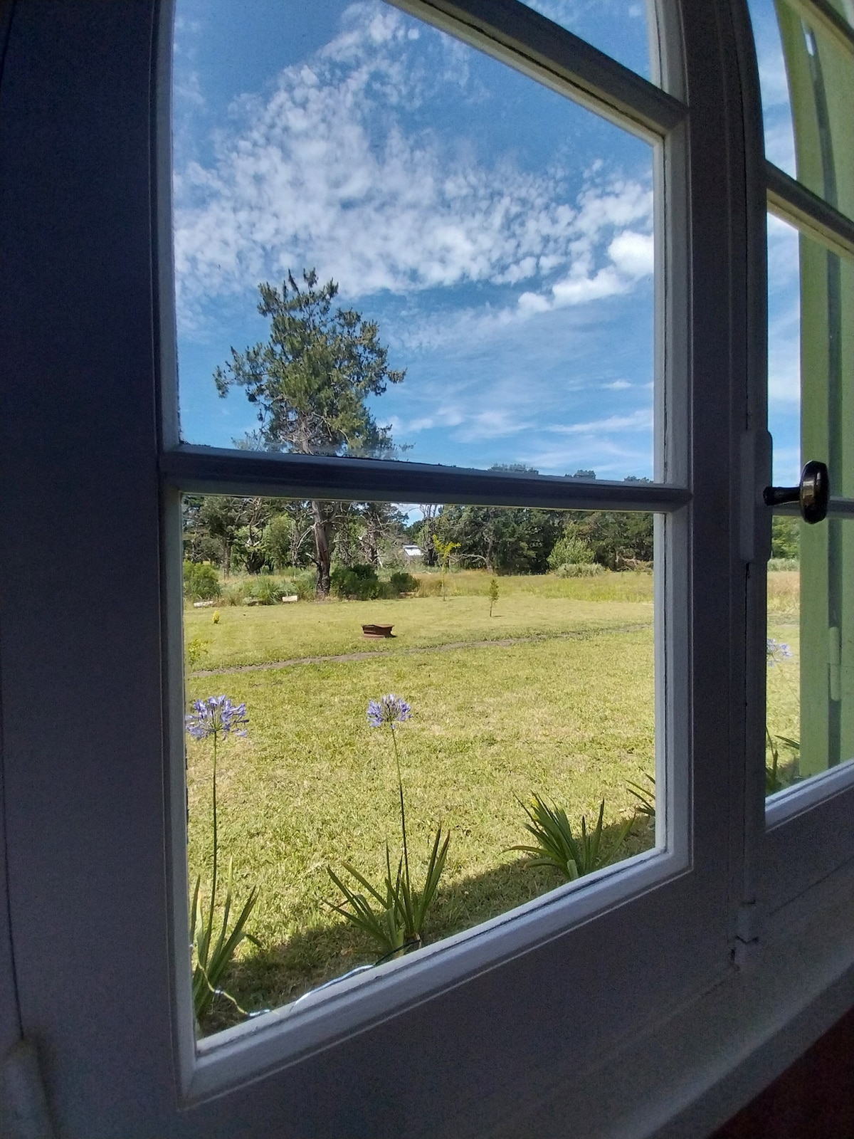 Top performing Airbnb: La Chapita, a house between the forest and the sea in Colonia Chapadmalal
