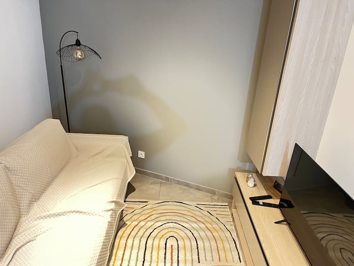 Appartement Type 3 Au Pied Des Montagnes - Albertville