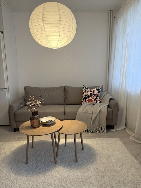 Popular Airbnb listing: Bright two-room apartment close to services in Pori