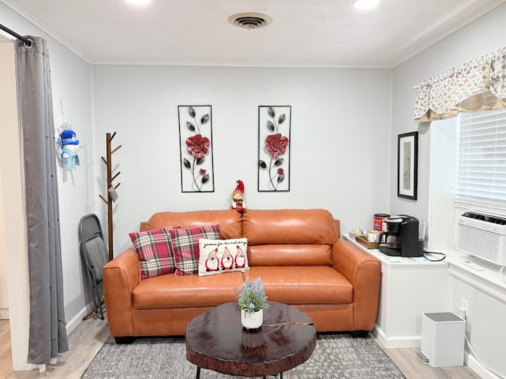 Carytown Cozy Home, King Bed, 2 Tv, Easy Parking - Richmond, VA