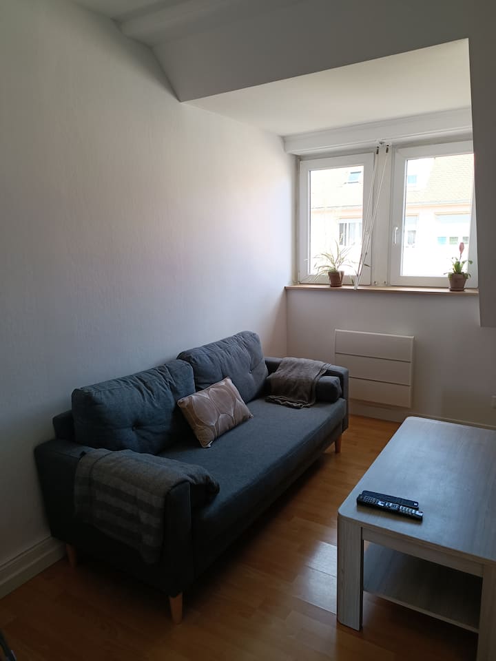 Appart 3 Pièces Avec Balcon 10 Minutes Du Centre - Strasbourg