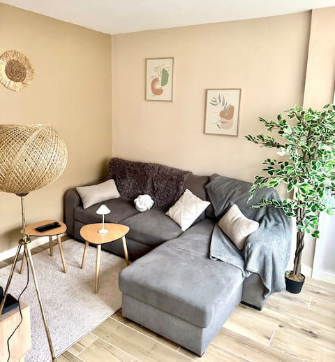 Propriété Airbnb réussie: 2-bedroom apartment - Heart of Mâcon + parking à Saône Et Loire