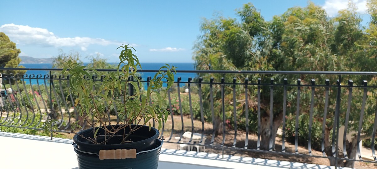 A potted plant in a black container is positioned on a white surface, with a scenic sea view visible in the background. Lush greenery and a clear blue sky complement the tranquil atmosphere, framed by a wrought-iron railing and vibrant landscaping.