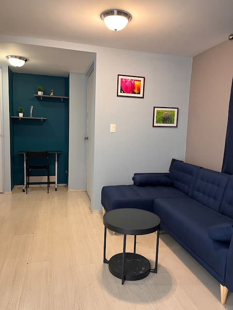 Popular Airbnb listing: Centrally located apartment: Experience Mexico City from Viaducto Piedad in Iztacalco