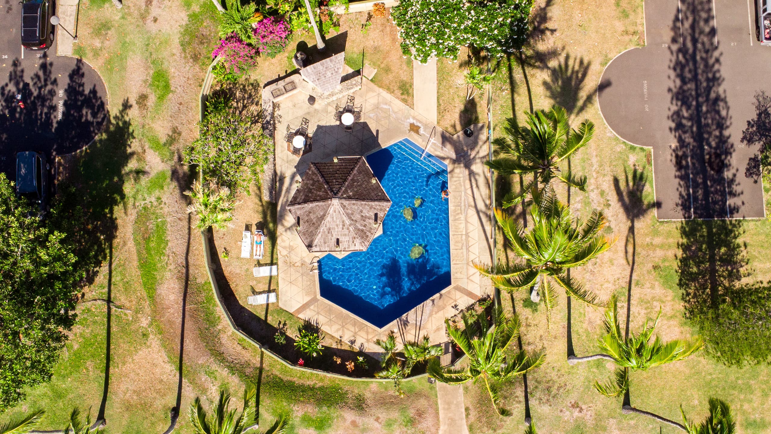 Condo in Kahuku · ★5.0 · 1 bedroom · 2 beds · 1 private bath - Image 46