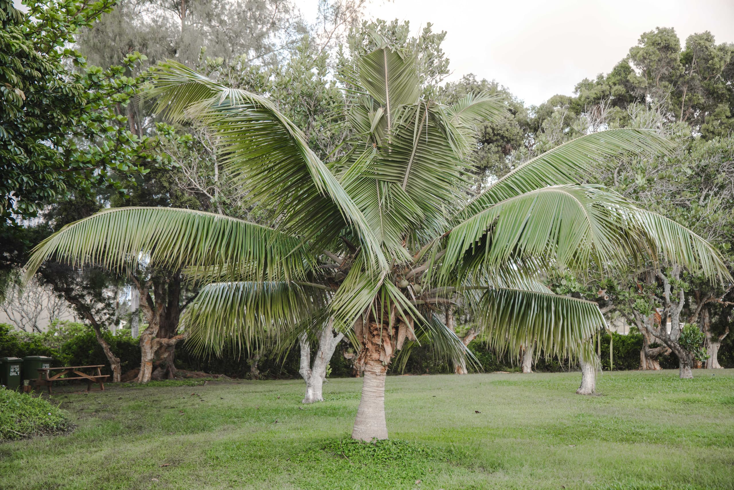 Condo in Kahuku · ★5.0 · 1 bedroom · 2 beds · 1 private bath - Image 43