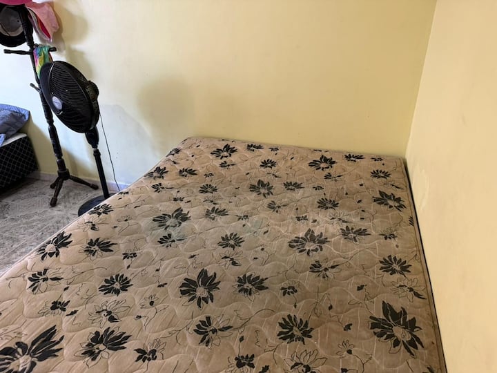 Chambre 3