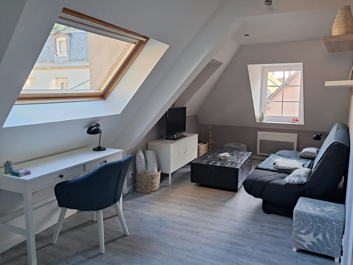 Appartement Au Coeur Du Centre Ville - Vannes