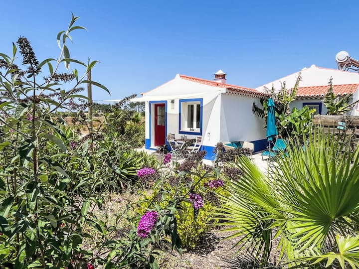 Sonne, Meer, Natur Im Gemütlichen Ferienhaus - Odeceixe