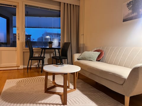 Popular Airbnb listing: Well-kept studio in the city center with its own sauna in Keskusta 8