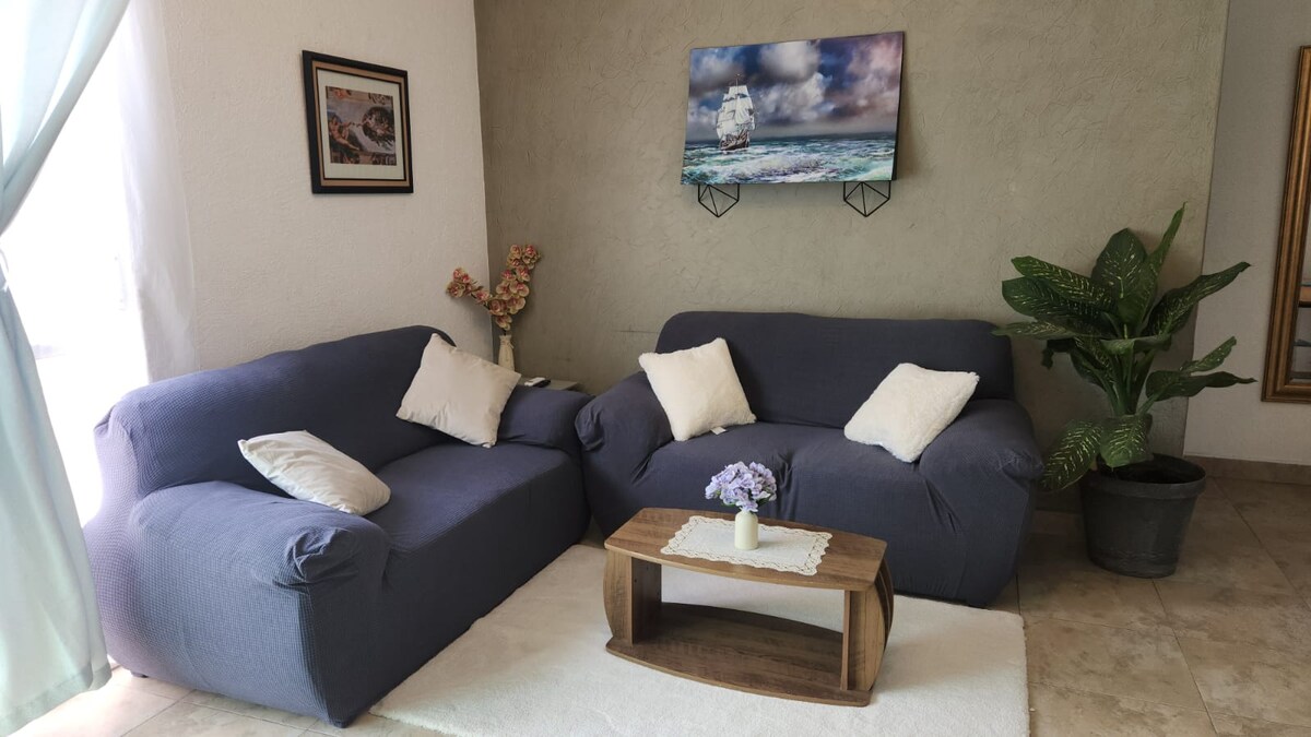 تلفزيون مع بث. نيتفليكس، ديزني +، برايم تي في، إتش بي أو، روكو تي في، يوتيوب وسبوتيفاي.