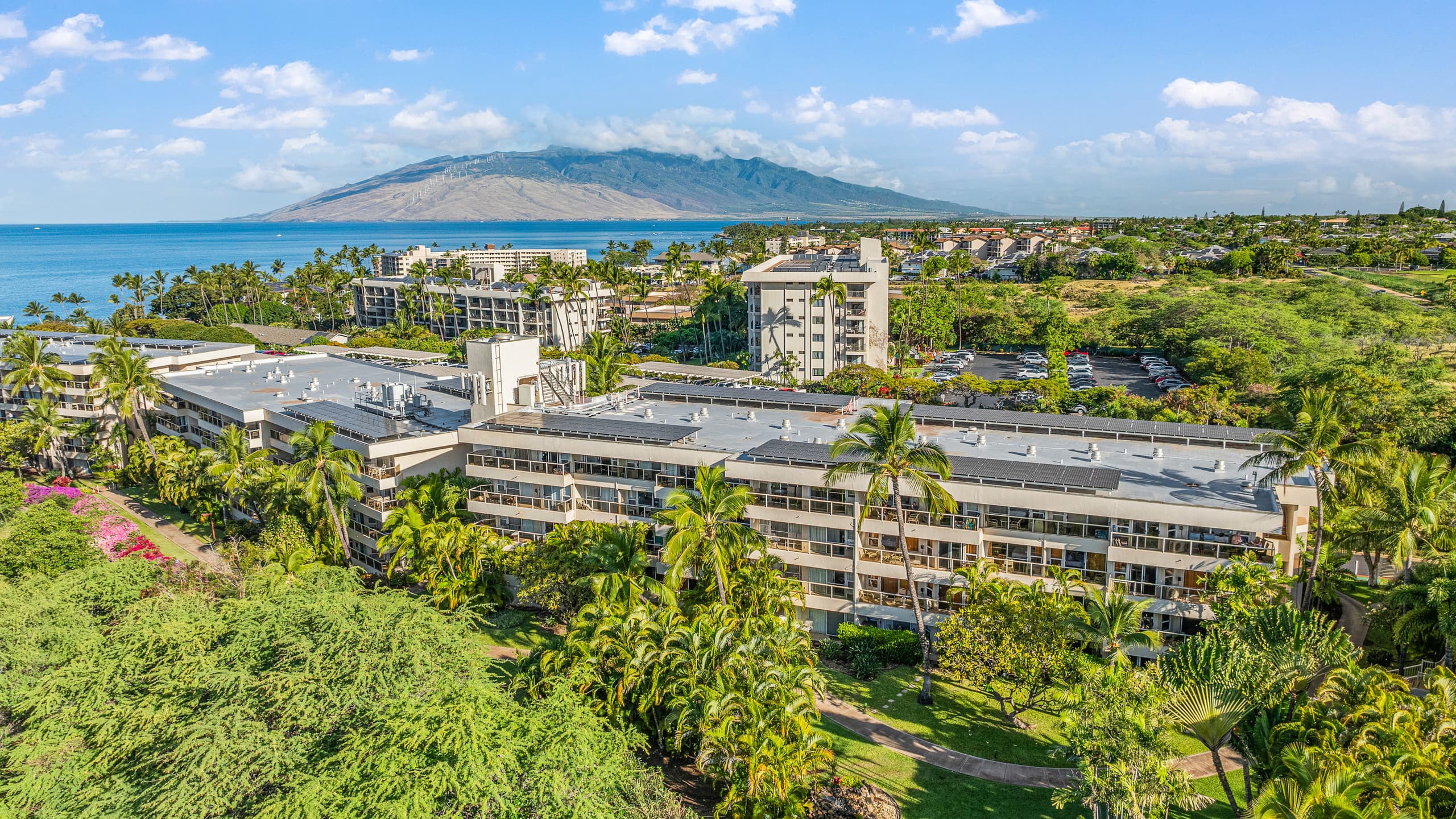 Maui Banyan, Prime Location, Across Kamaole Beach! - Image 25