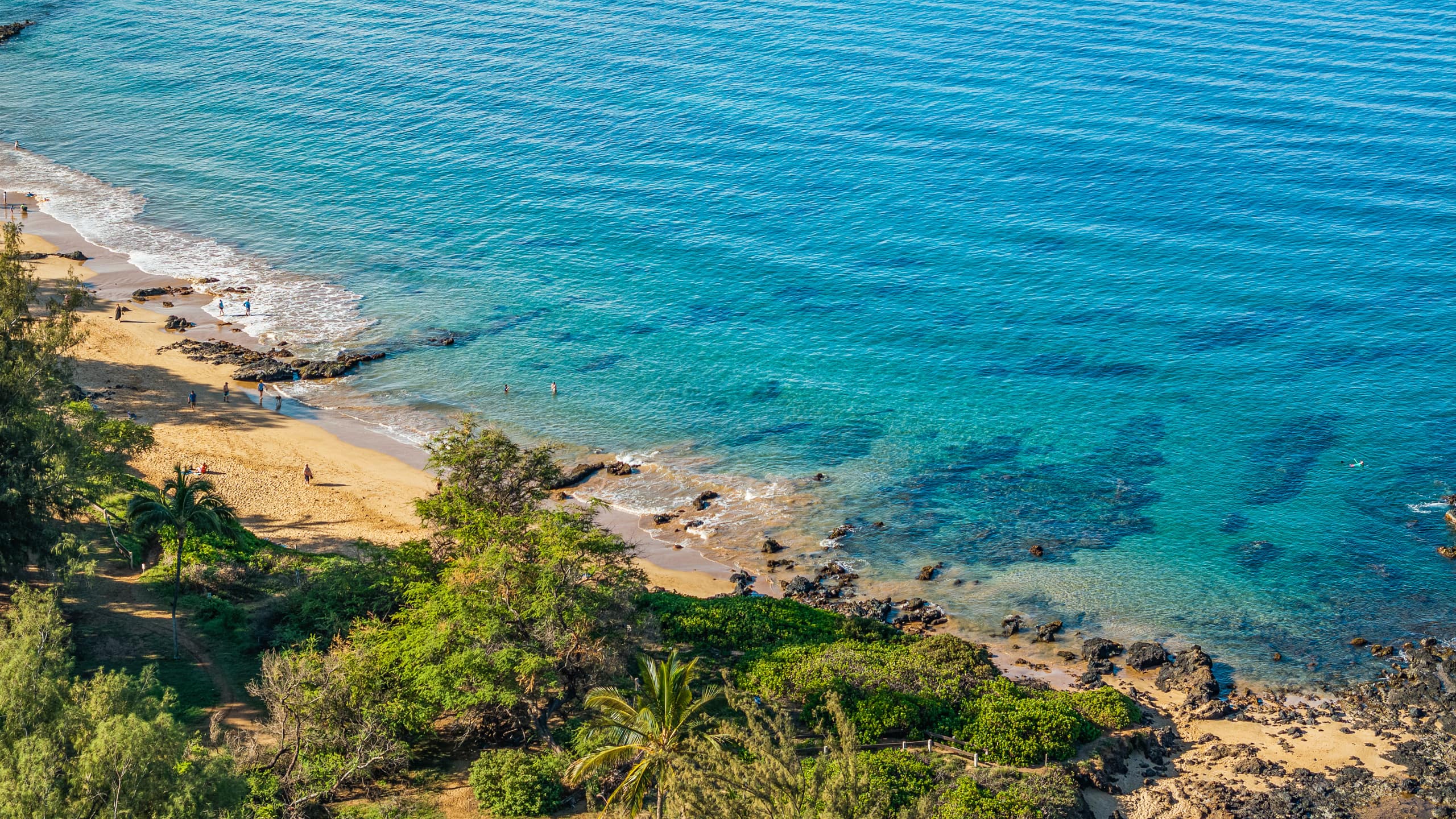 Maui Banyan, Prime Location, Across Kamaole Beach! - Image 22