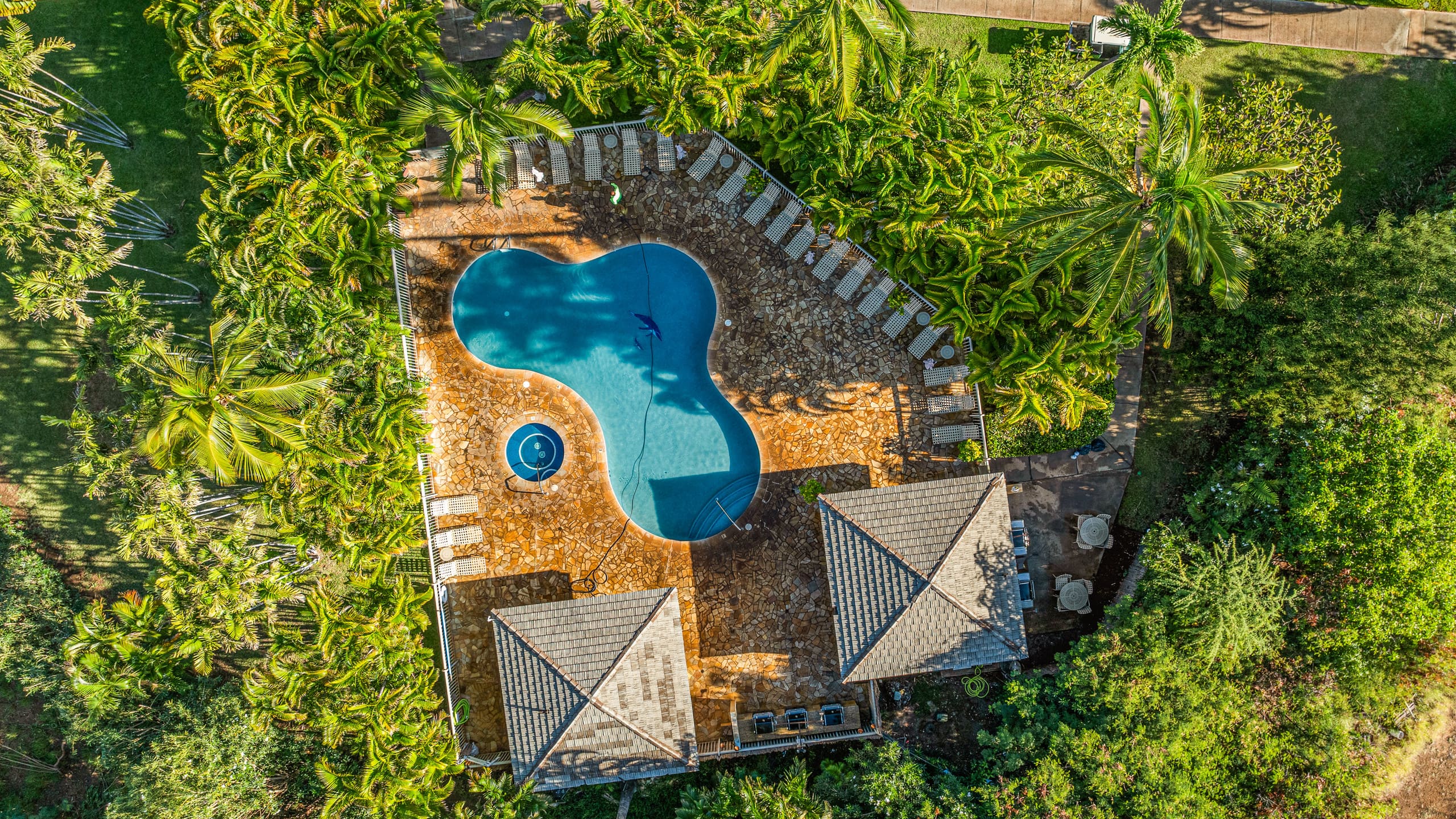 Maui Banyan, Prime Location, Across Kamaole Beach! - Image 14