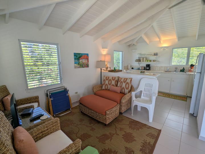 Oceanview Hideaway—walk To Beach, Kitchen, Pets Ok - アングィラ