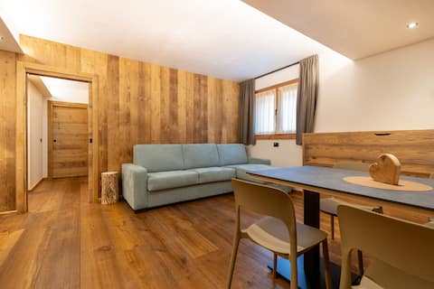Top Airbnb: Comfortable two-room alpine-style wooden apartment a Valdisotto