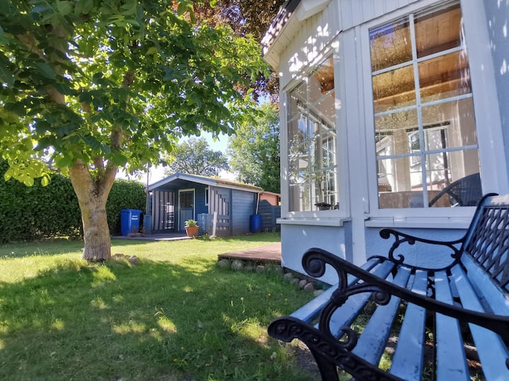 Ferienhaus "Rotbuche" - Mitten In Zingst, Ruhig Ge - Zingst