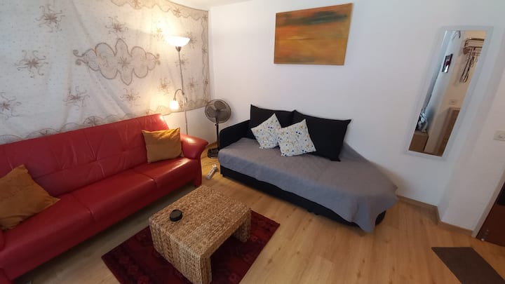 1 Br 3-4 Pax Carport Balcony Opp Staubbach Falls - ラウターブルンネン