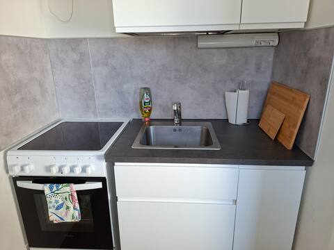 Top performing Airbnb: Studio next to the university in Iv