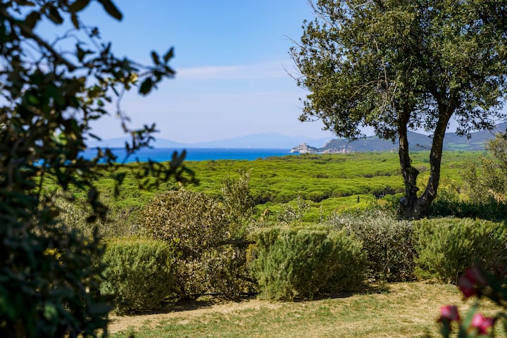 Sole Maremma Bilocale 2 Letti Comfort - Castiglione della Pescaia