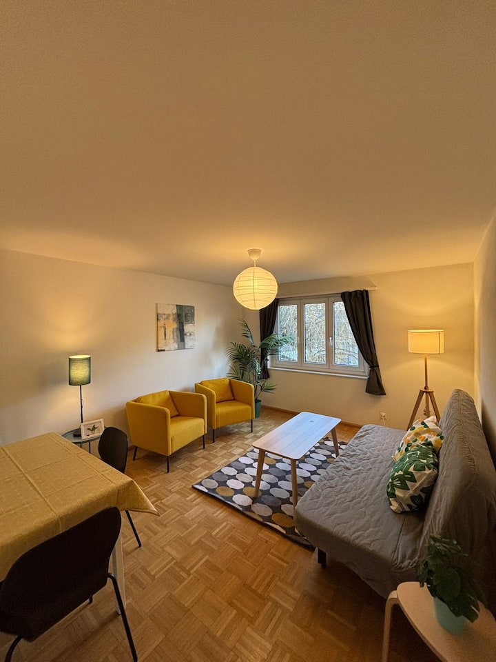 Gemütliche 3-zimmer Whg Mit Sep. Küche Und Balkon - Switzerland