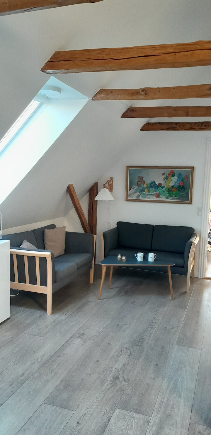 Landlig Idyl I Smukke Omgivelser - Kolding