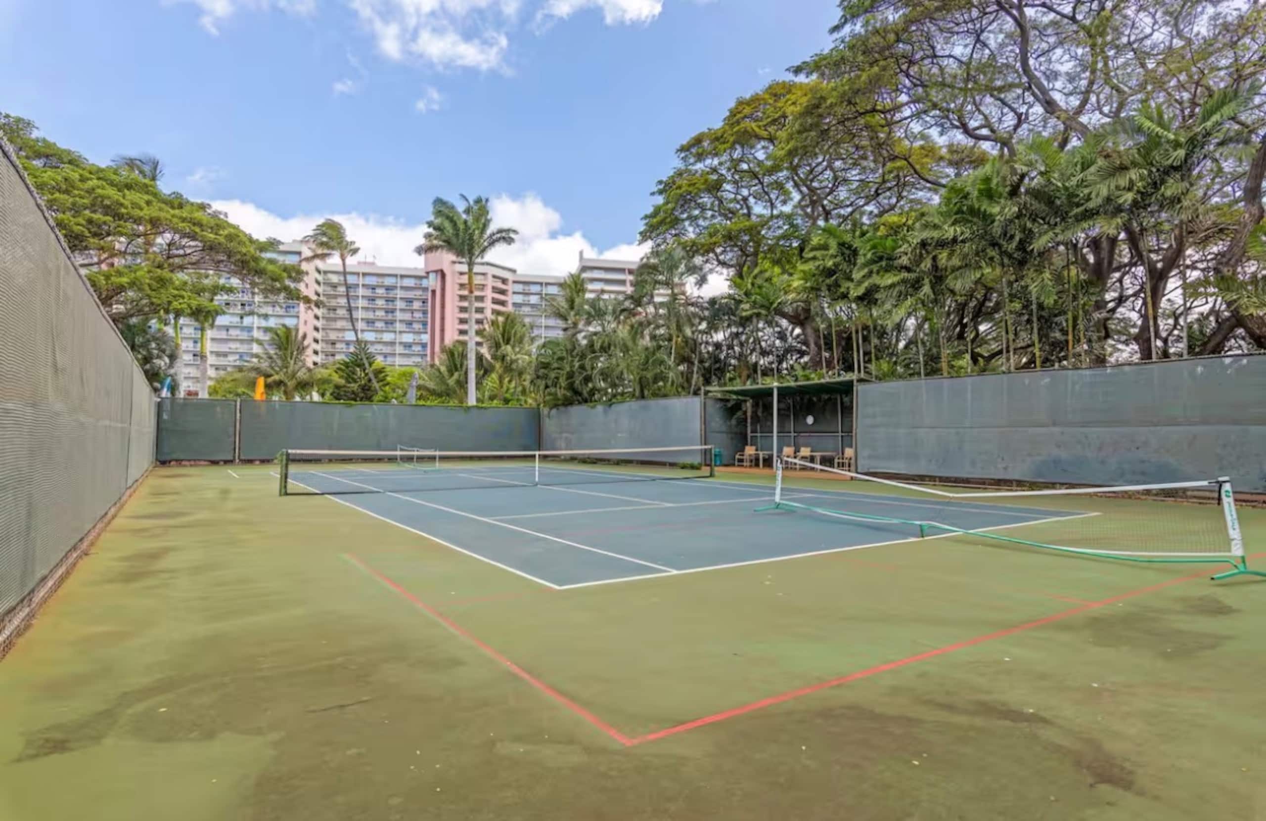 Oceanfront Mahana Panoramic Pacific Views - Image 37