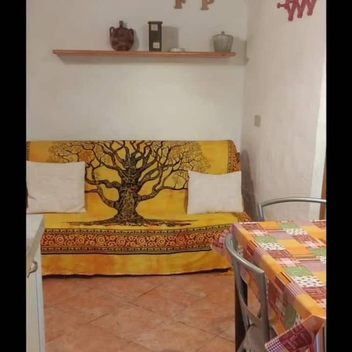 Casa Vacanze Fiorella - San Teodoro, Sicily