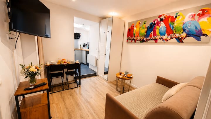 T2 Cosy Au Pied De La Gare Paris Direct - Enghien-les-Bains