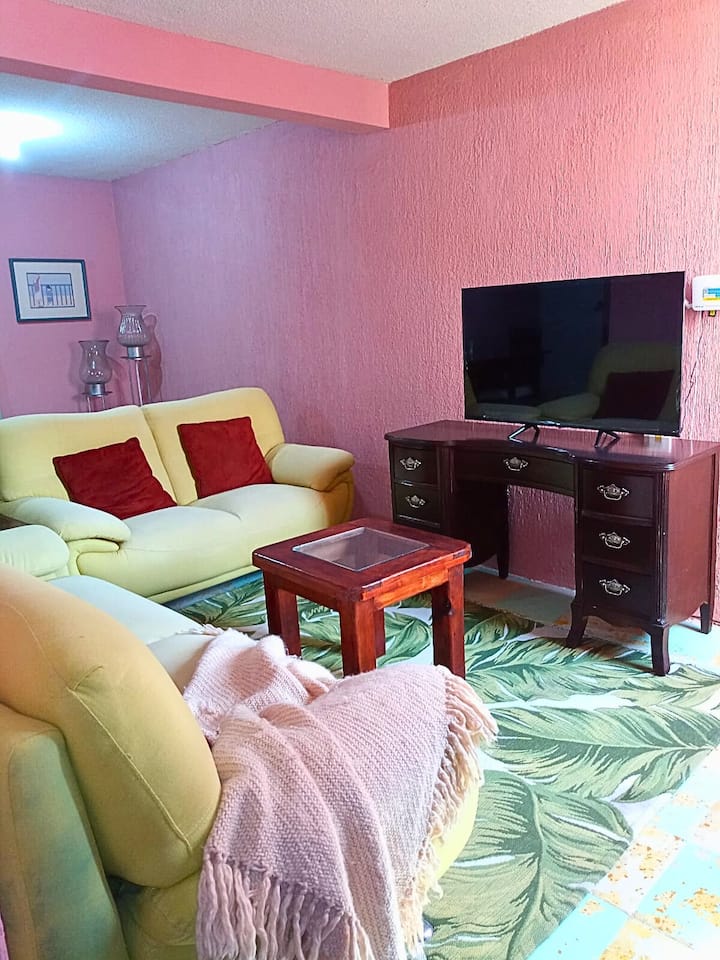 Cómodo Departamento, Con Excelente Ubicación. - Celaya