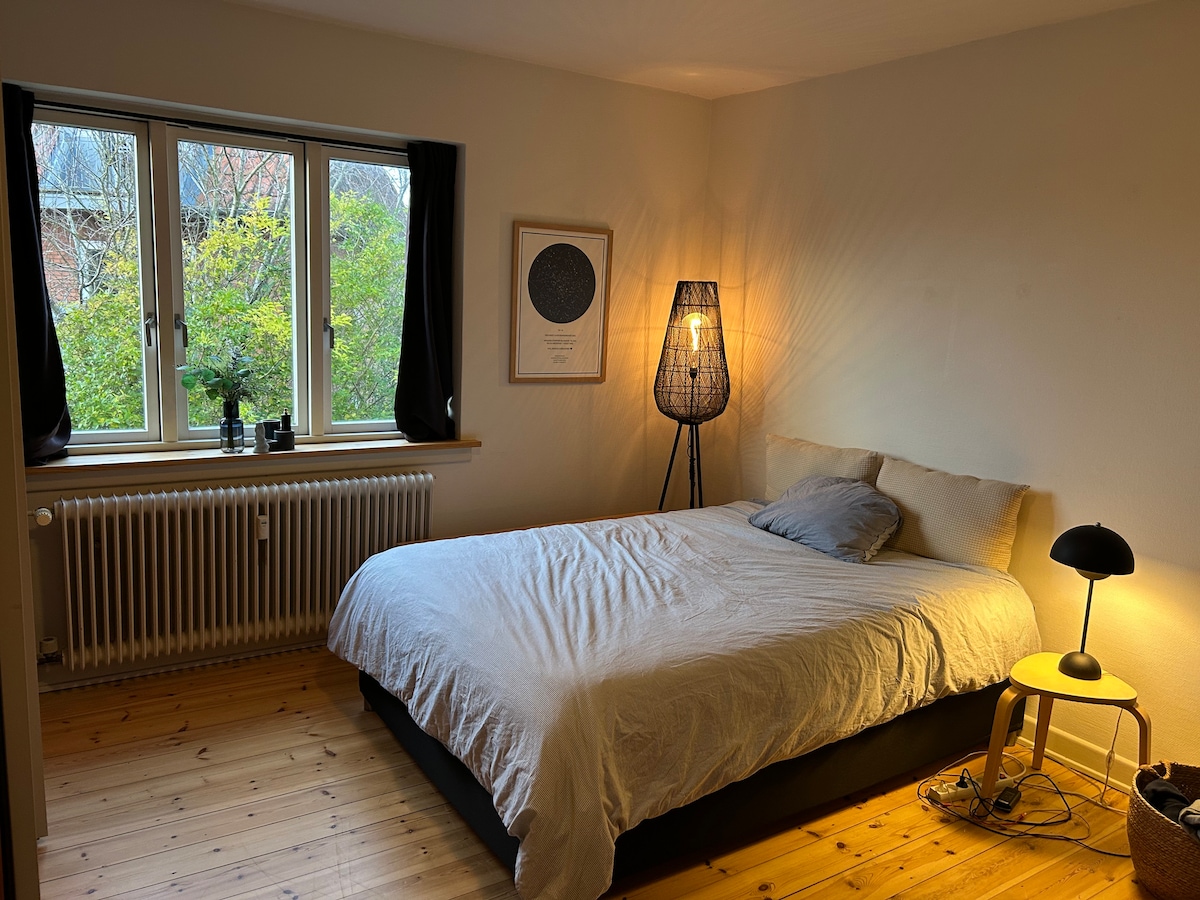 Picture of Cozy apartment in central Odense - Flats for Rent in Odense, Denmark ...